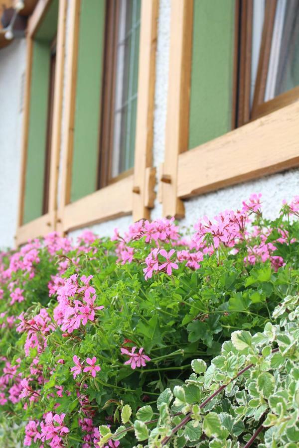Landgasthof Ritter Orsingen-Nenzingen Экстерьер фото